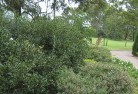 Epping VICresidential-landscaping-35.jpg; ?>